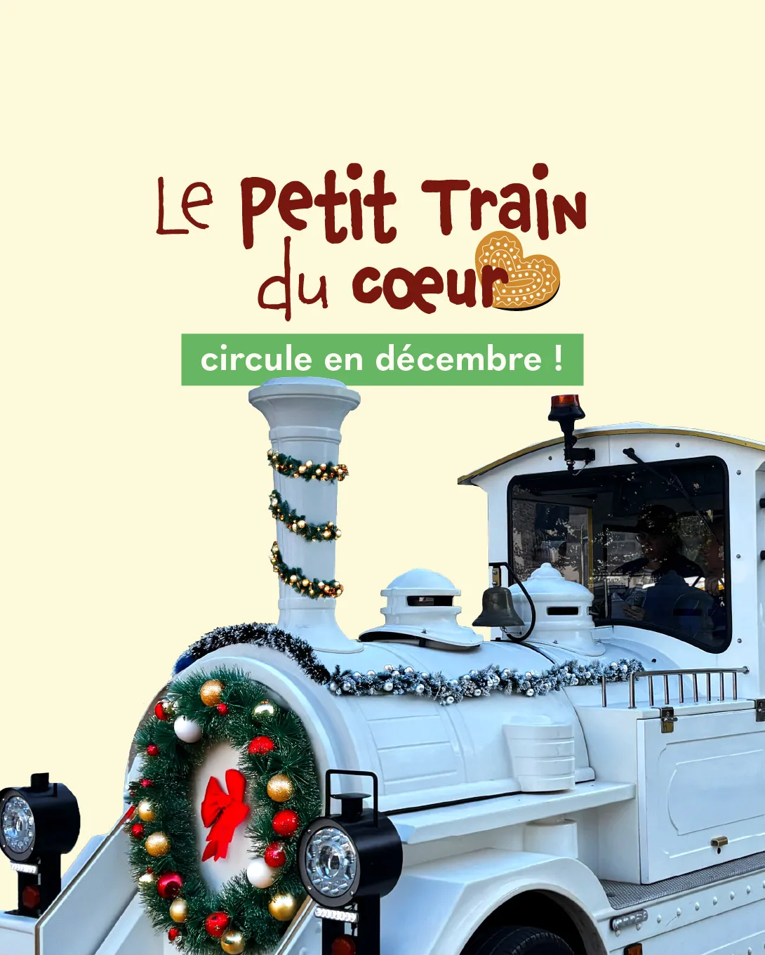 ๐โญ Balade en Petit Train avec Agglobus pour Noรซl - Agglobus Rodez