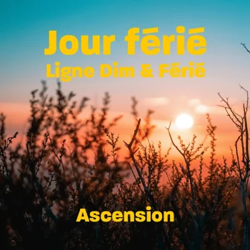 Accueil