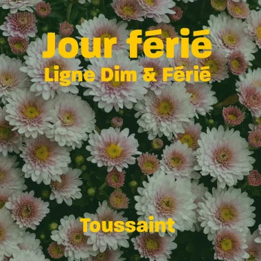 Jour Férié : Samedi 1er Novembre