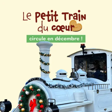 🚂⭐ Balade en Petit Train avec Agglobus pour Noël